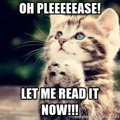 anticipation-cat-oh-pleeeeease-let-me-read-it-now