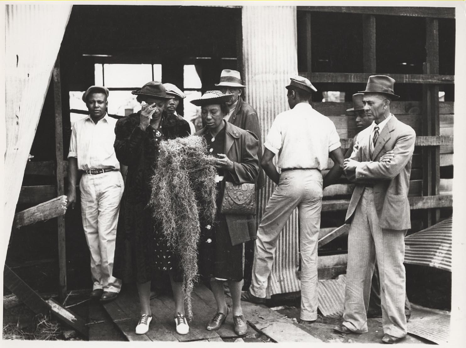Rhythm Club, woman with Spanish moss