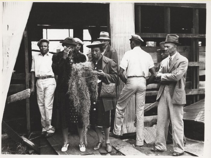 Rhythm Club, woman with Spanish moss